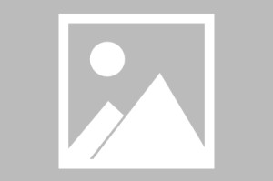官方网站-布鲁克林篮网最新消息